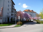 Außenanlage - Helle 1-Zimmer-Wohnung im 3.OG der Seniorenresidenz Friedrichsau