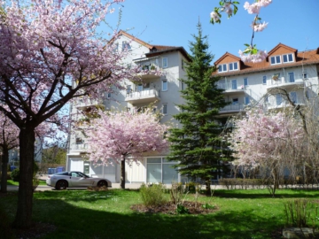 Helle 1-Zimmer-Wohnung im 3.OG der Seniorenresidenz Friedrichsau, 89073 Ulm, Etagenwohnung