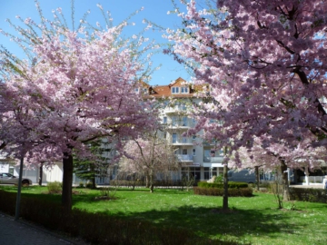 Seniorenresidenz Friedrichsau sehr schöne 2-Zimmer-Wohnung im 1. Obergeschoss, 89073 Ulm, Etagenwohnung