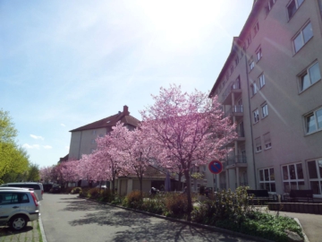 Seniorenresidenz Friedrichsau: helle 1 Zimmer Wohnung im 4.OG im Pflegeheim, 89073 Ulm, Etagenwohnung